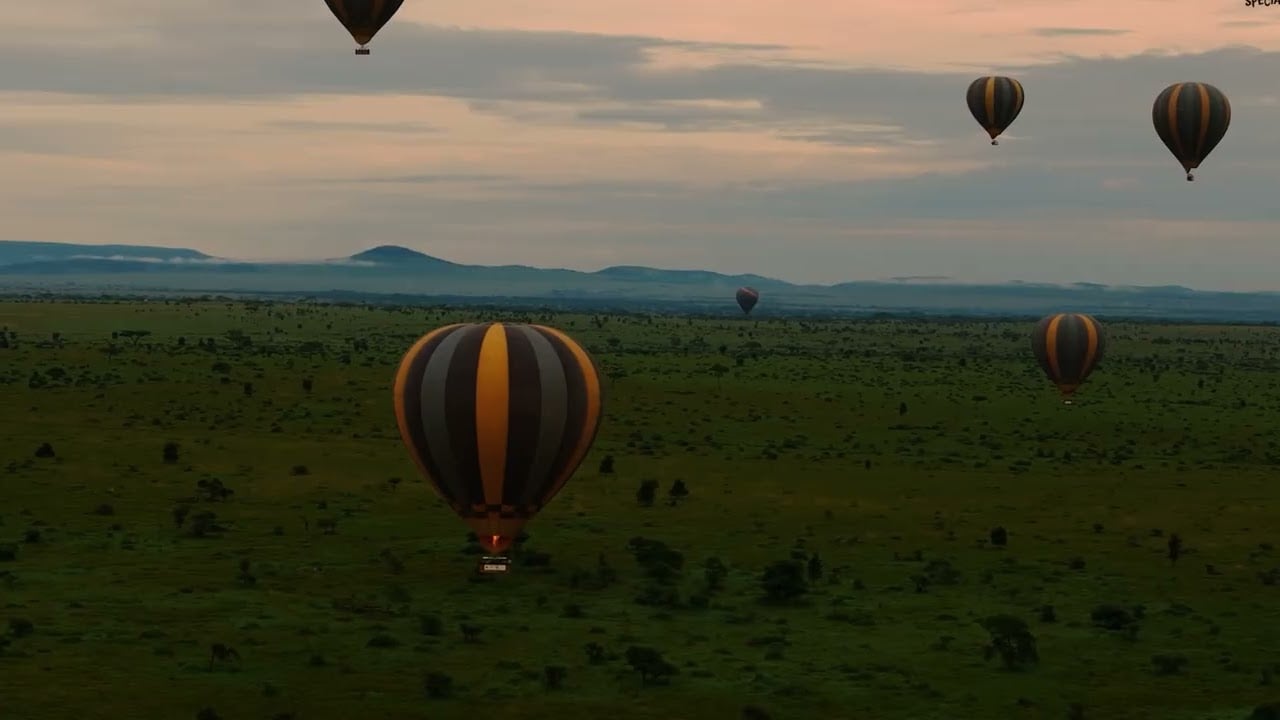 Safari in Tanzania voor koppels