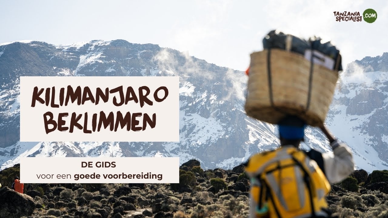 Kilimanjaro beklimmen - De gids voor een goede voorbereiding - Tanzania Specialist