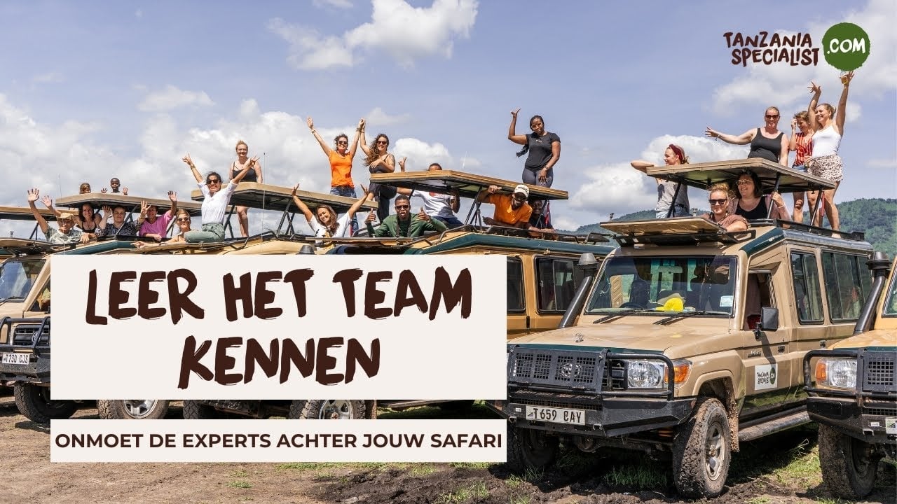 Kilimanjaro beklimmen - De gids voor een goede voorbereiding - Tanzania Specialist