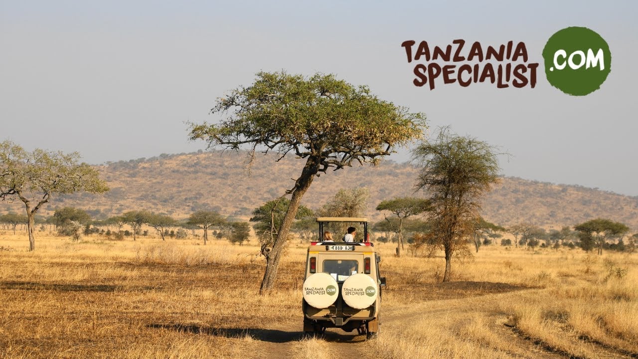 Een safari een Tanzania is echt iets unieks