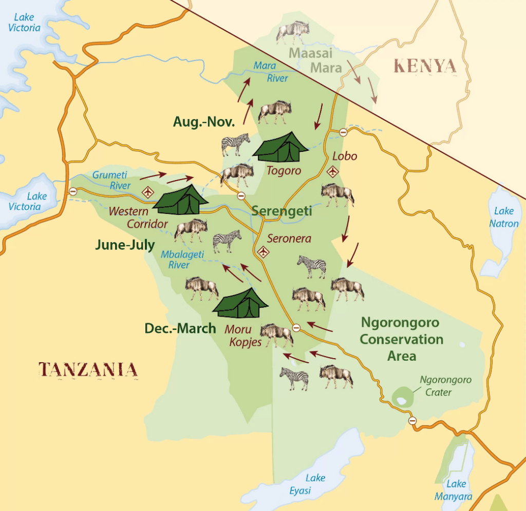 de Grote trek Serengeti
