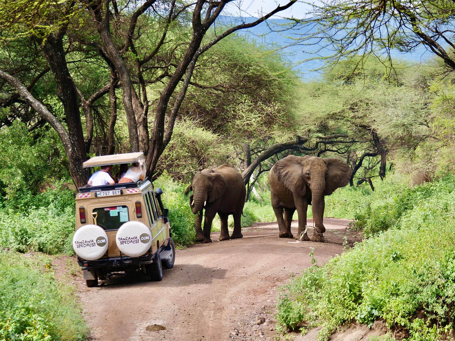 safari reizen tanzania