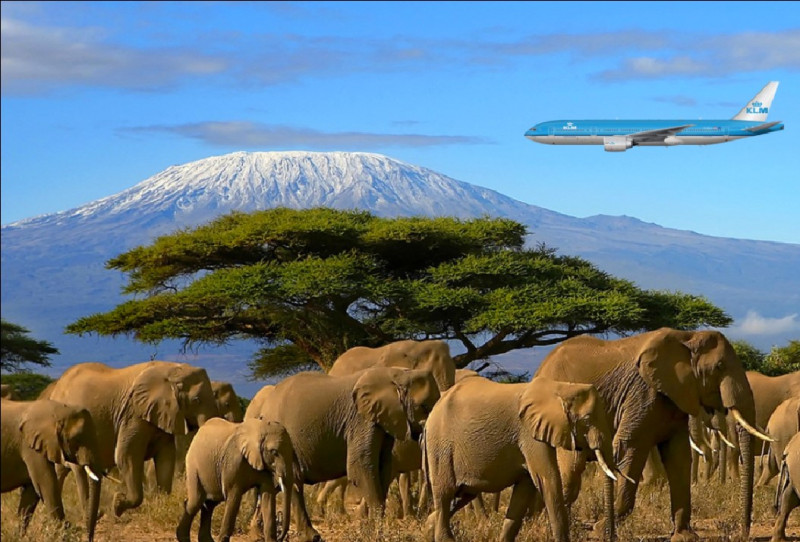 Aankomst op Kilimanjaro International Airport