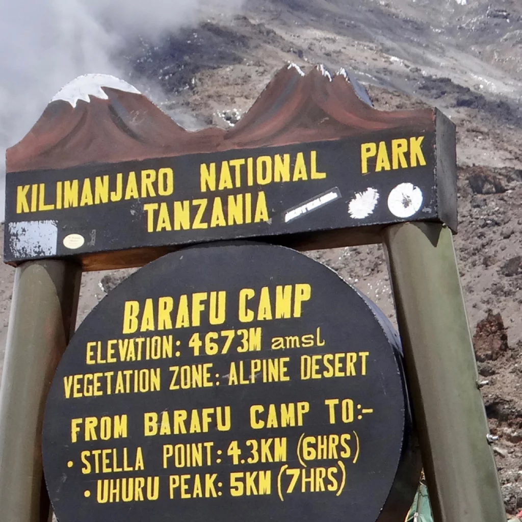 Beklimming Machame Route dag 5/7: Karanga Camp (3950 m) - Barafu Camp (4600 m)