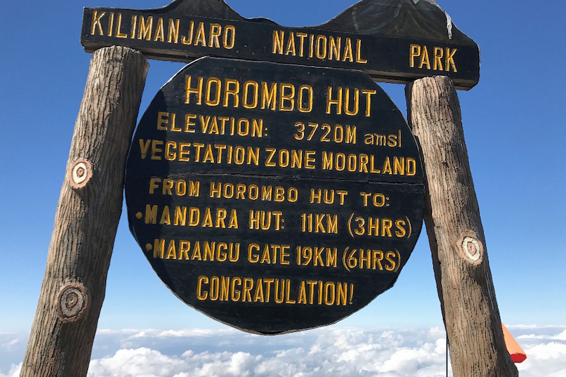 Beklimming Marangu Route dag 2/6: Mandara Huts (2700 m) - Horombo Huts (3720 m)