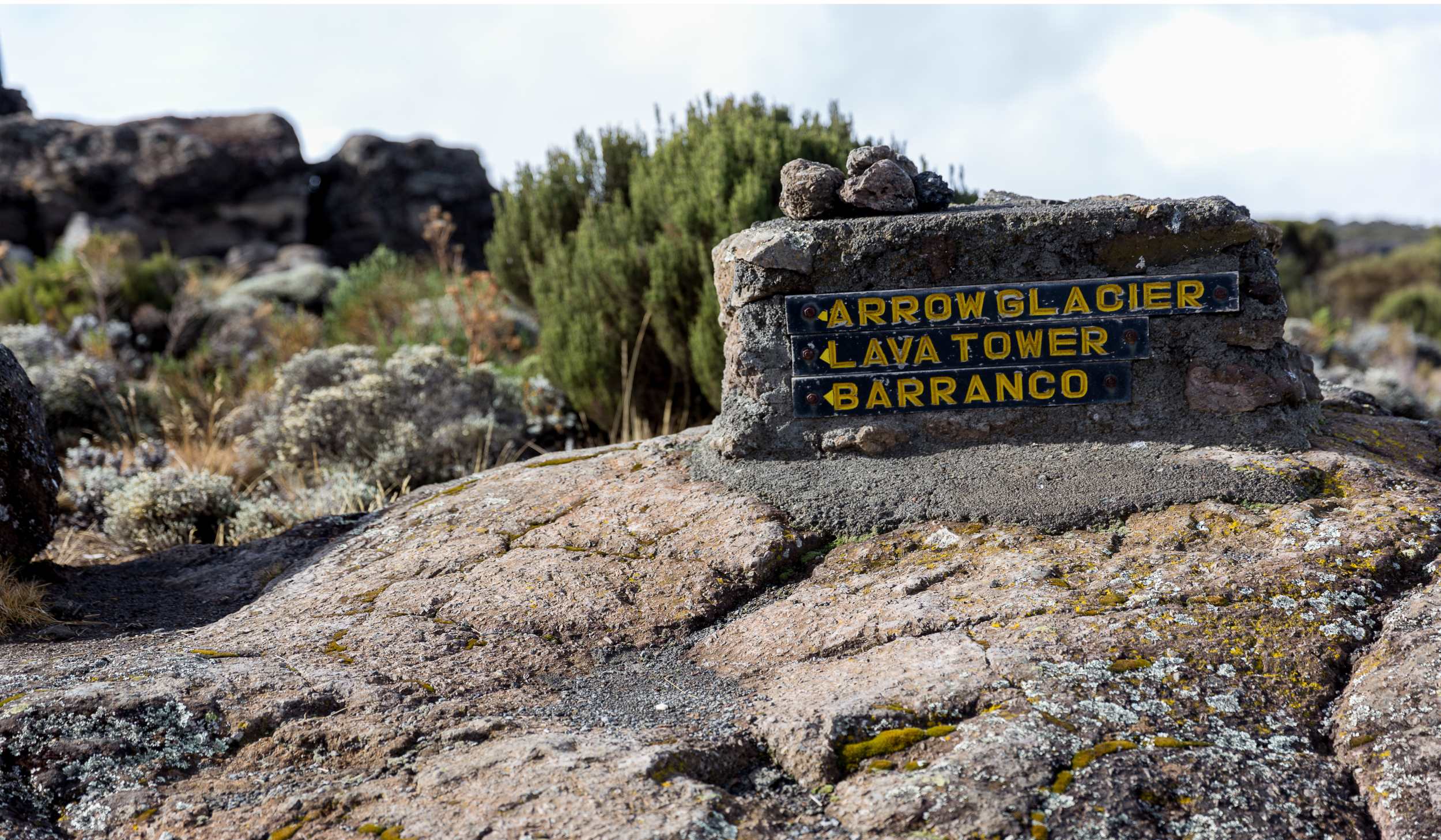 Beklimming Lemosho-Shira Route, dag 2: Shira 2 Camp (3900 m) - Lava Tower (4630 m) - Barranco Camp (3960 m)