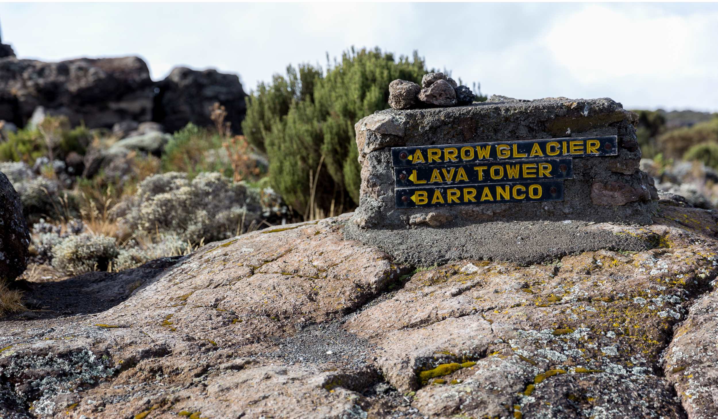 Beklimming Machame Route dag 3/7: Shira Camp (3840 m) - Barranco Camp (3850 m)