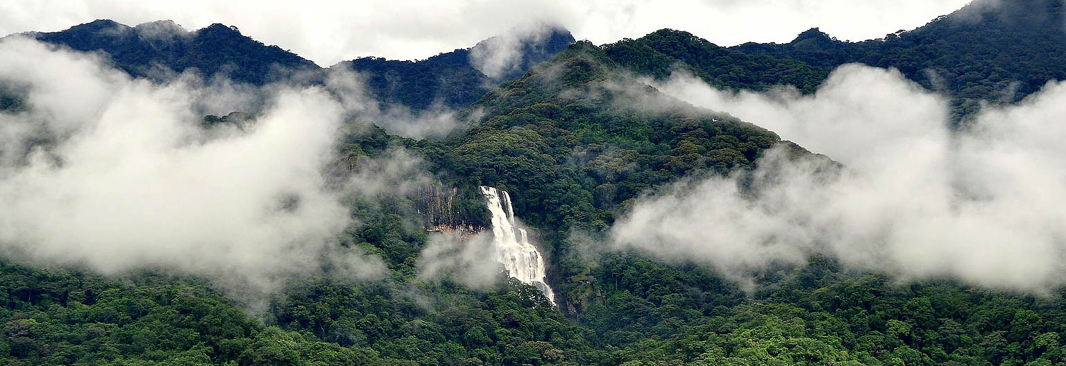 Udzungwa Mountains National Park