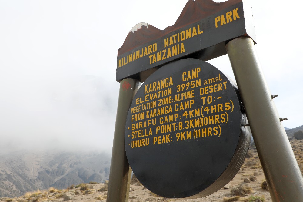Beklimming Machame Route dag 4/7: Barranco Camp (3850 m) - Karanga Camp (3950 m)