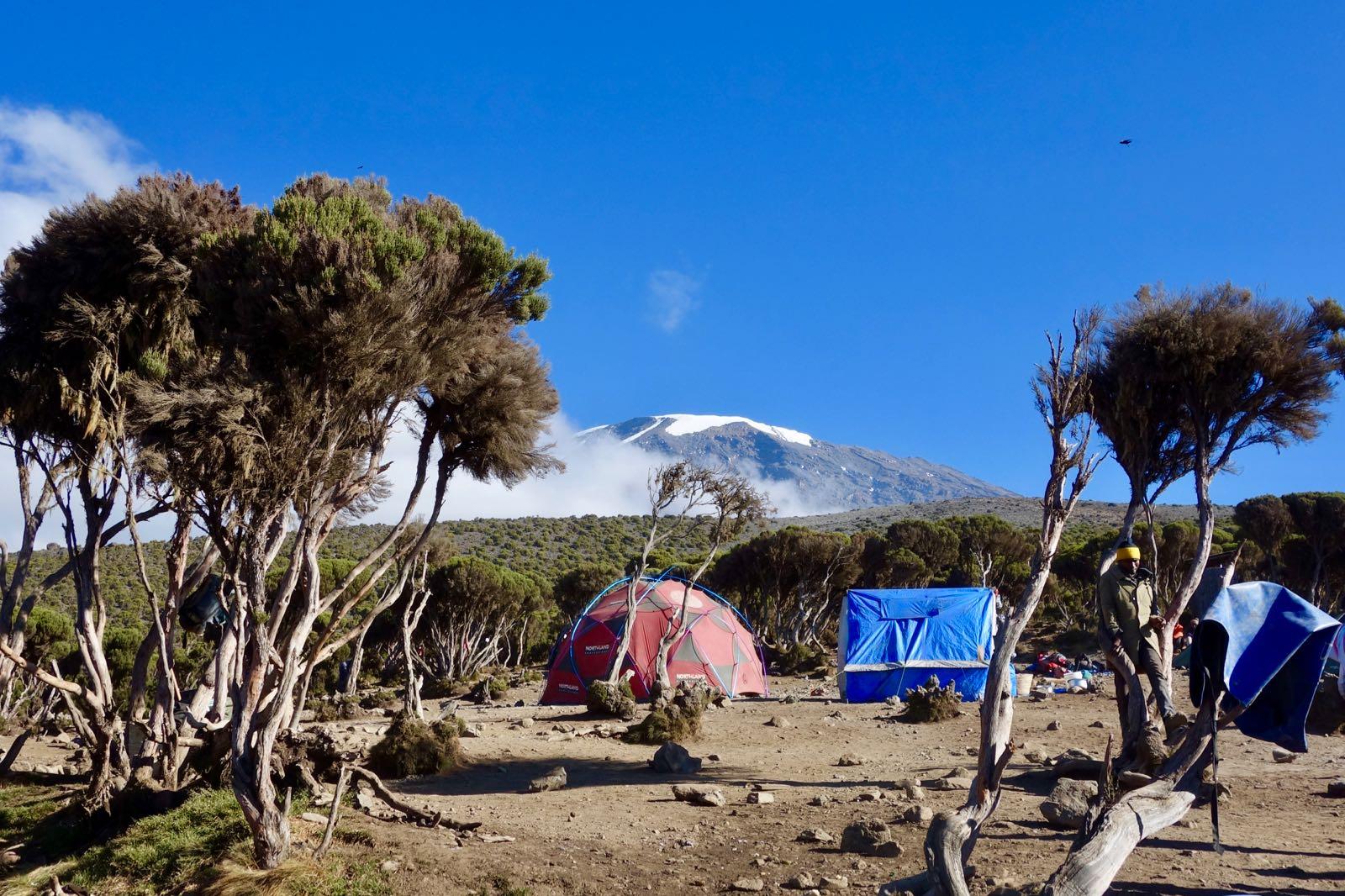 Beklimming Machame Route dag 5/6: Barafu Camp (4640 m) - Uhuru Peak (5895 m) - Millennium Camp (3,820 m).