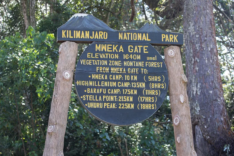 Lemosho Route 7 days, day 7: Millennium Camp (3820 m/ 12,532 ft) - Mweka Gate (1650 m/ 5,413 ft)