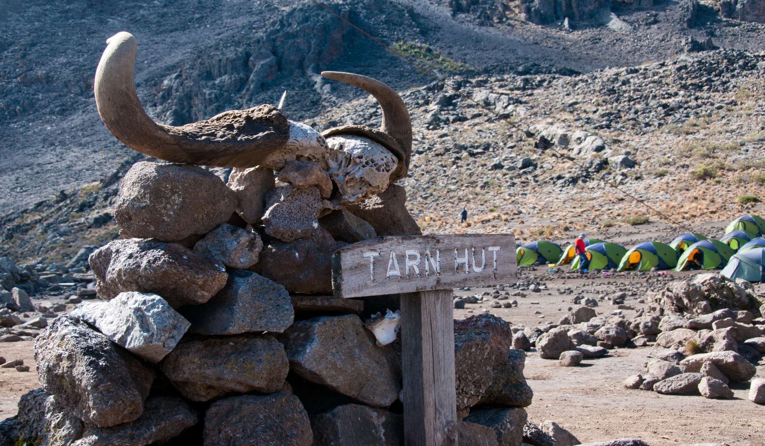 Beklimming Rongai Route dag 3/6: Kikelewa Camp (3600 m) - Mawenzi Tarn (4330 m)