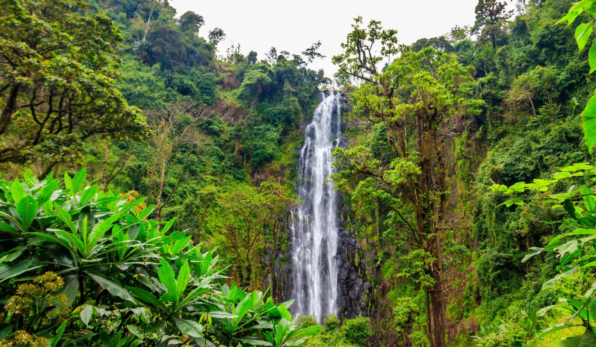 Een wandeling van het dorpje Materuni naar de Kuringe waterval