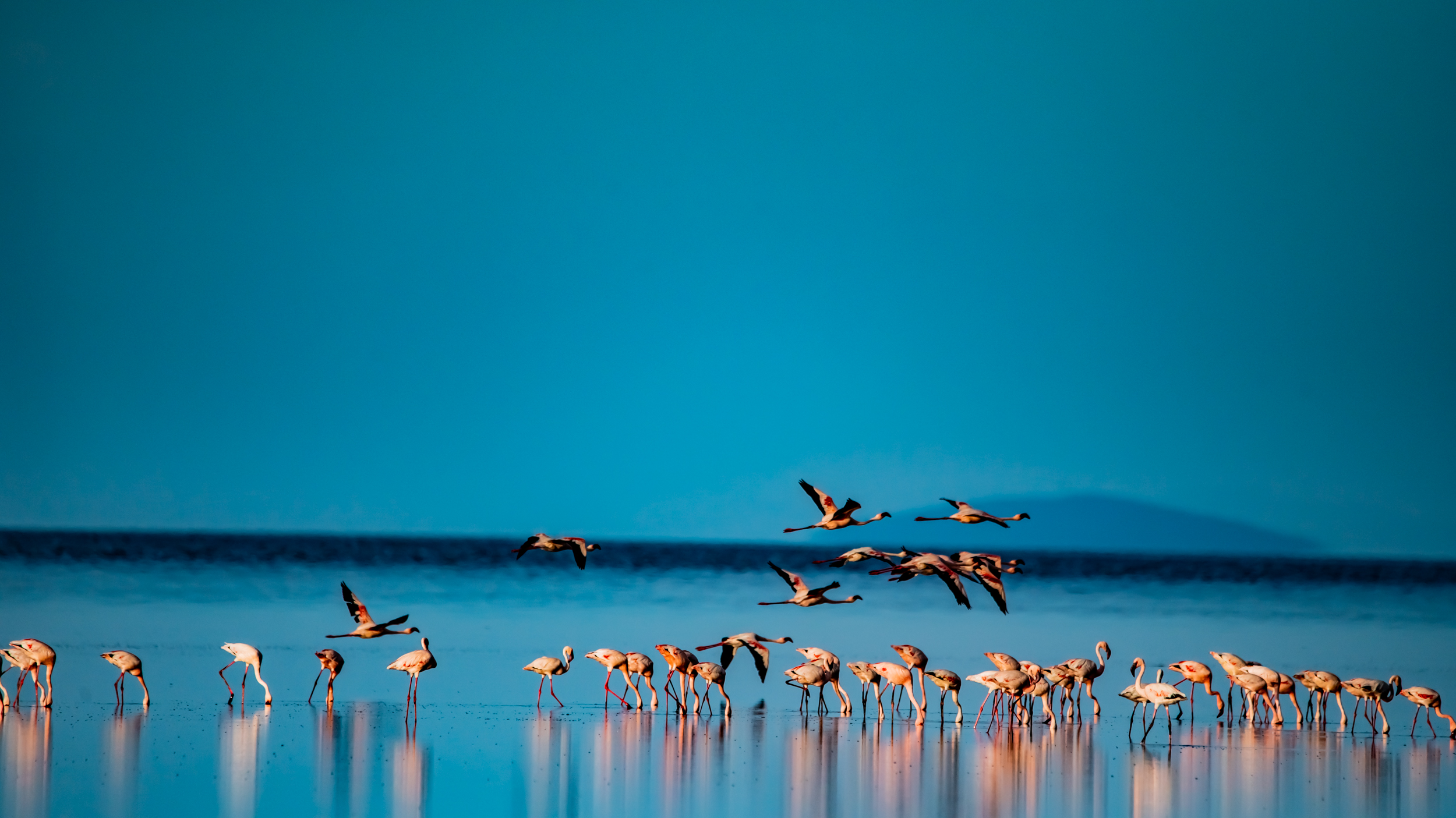 Lake Natron