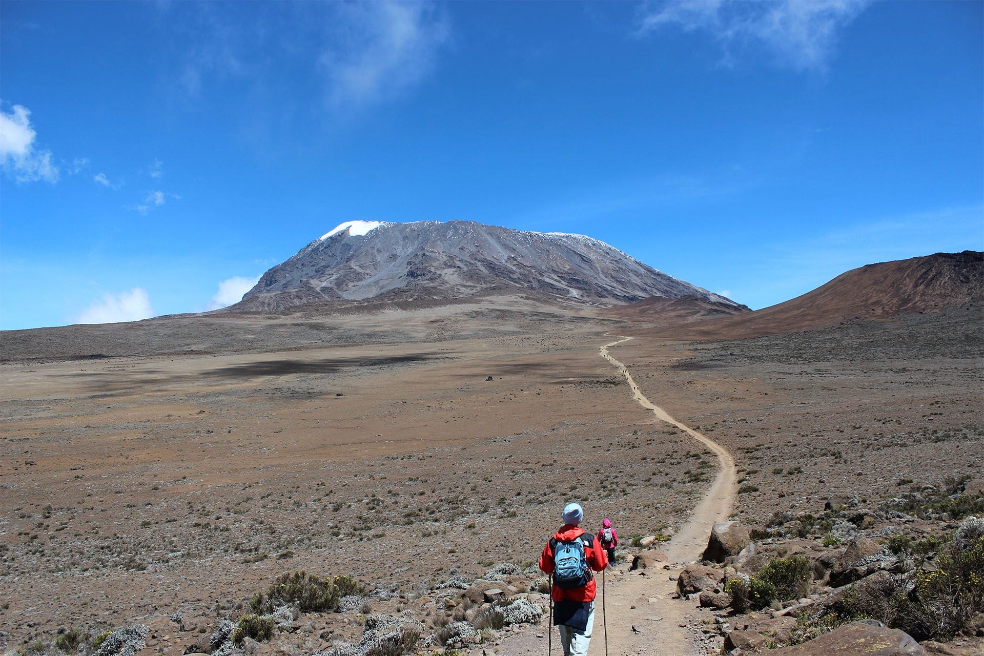 Dagwandeling op de Kilimanjaro