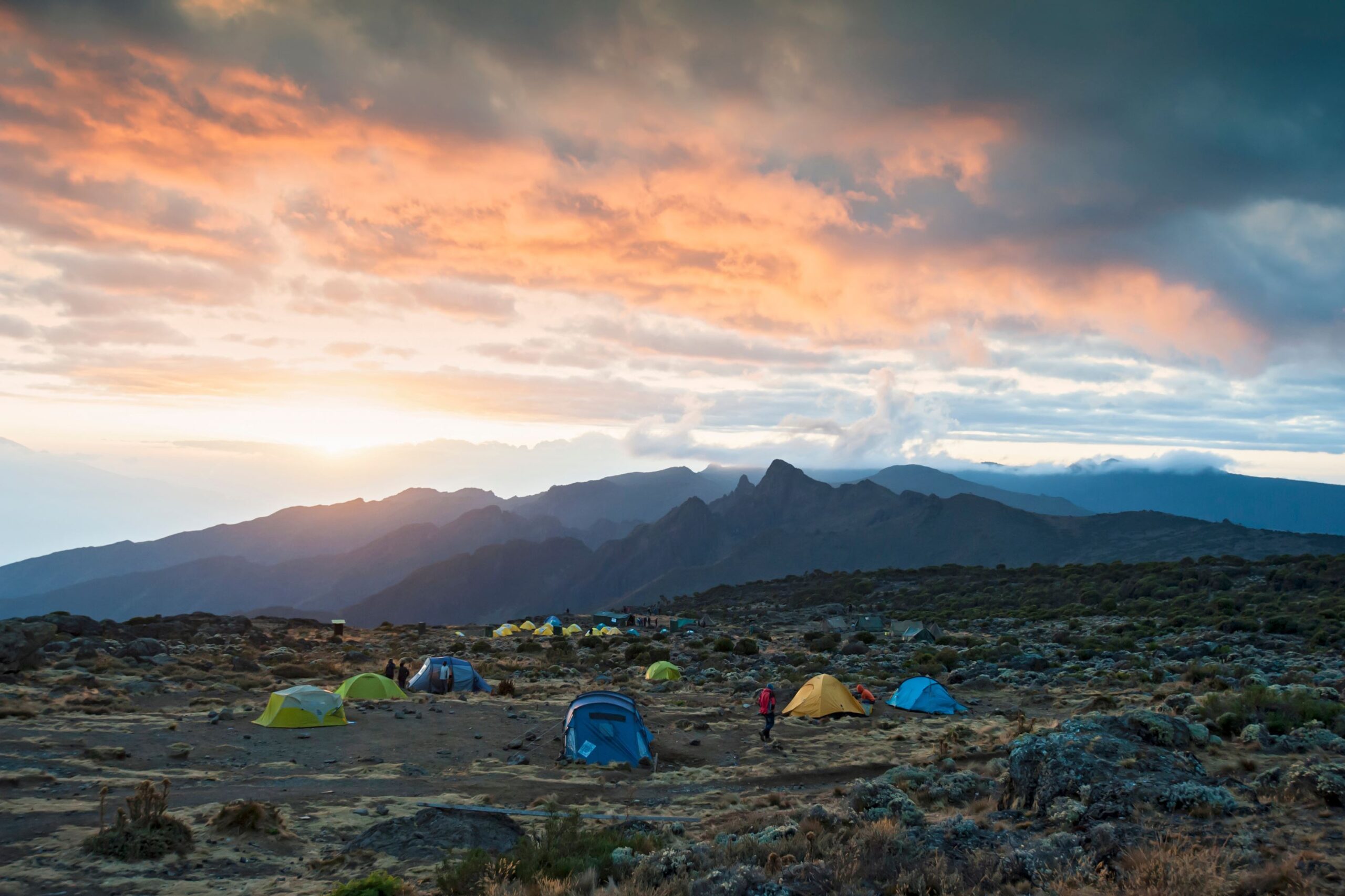 Northern Circuit (3/8) | Shira 1 Camp (3,510 m) - Lava Tower (4,630 m)