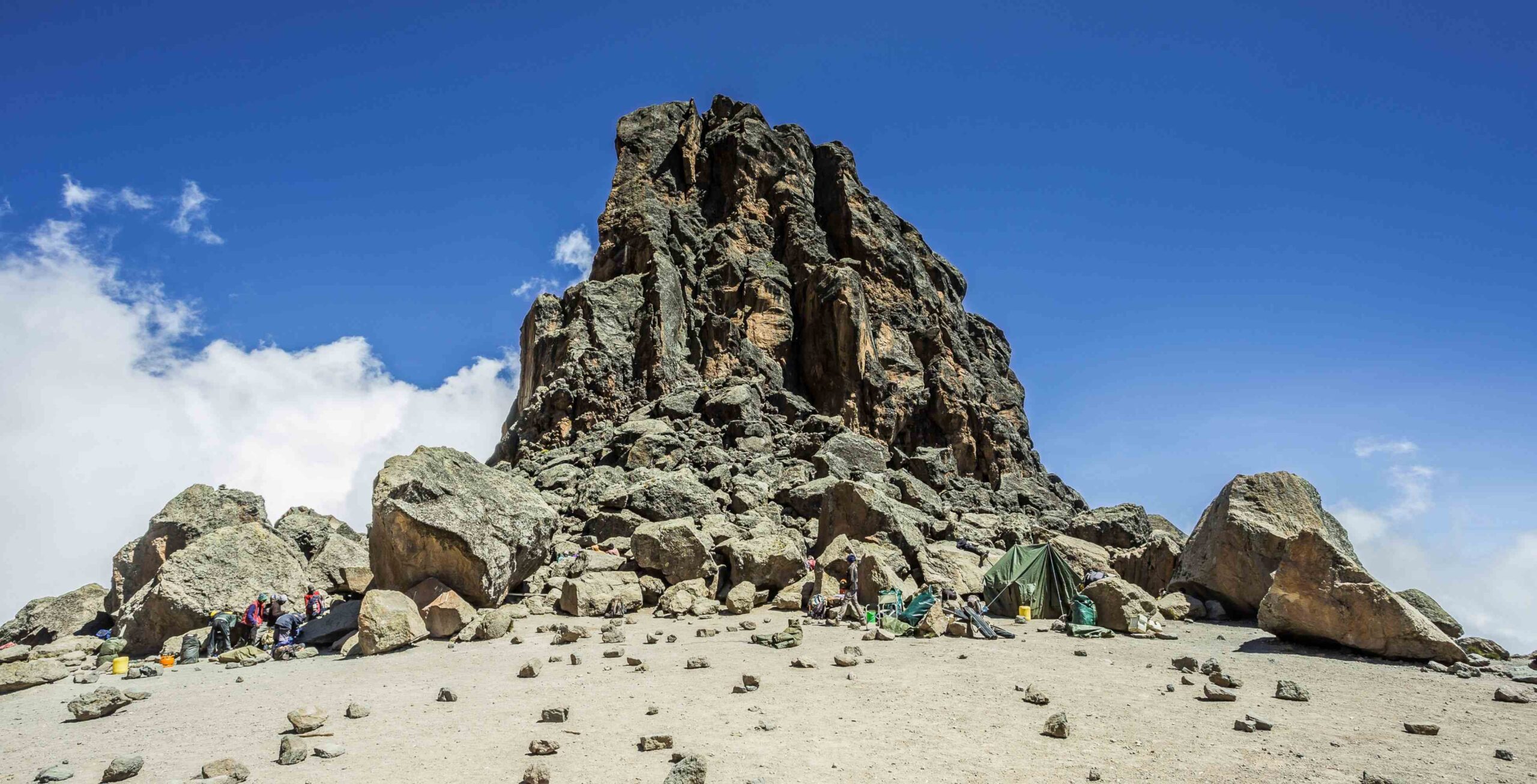 Northern Circuit (4/8) | Lava Tower (4,630 m) - Buffalo Camp (3,995 m)