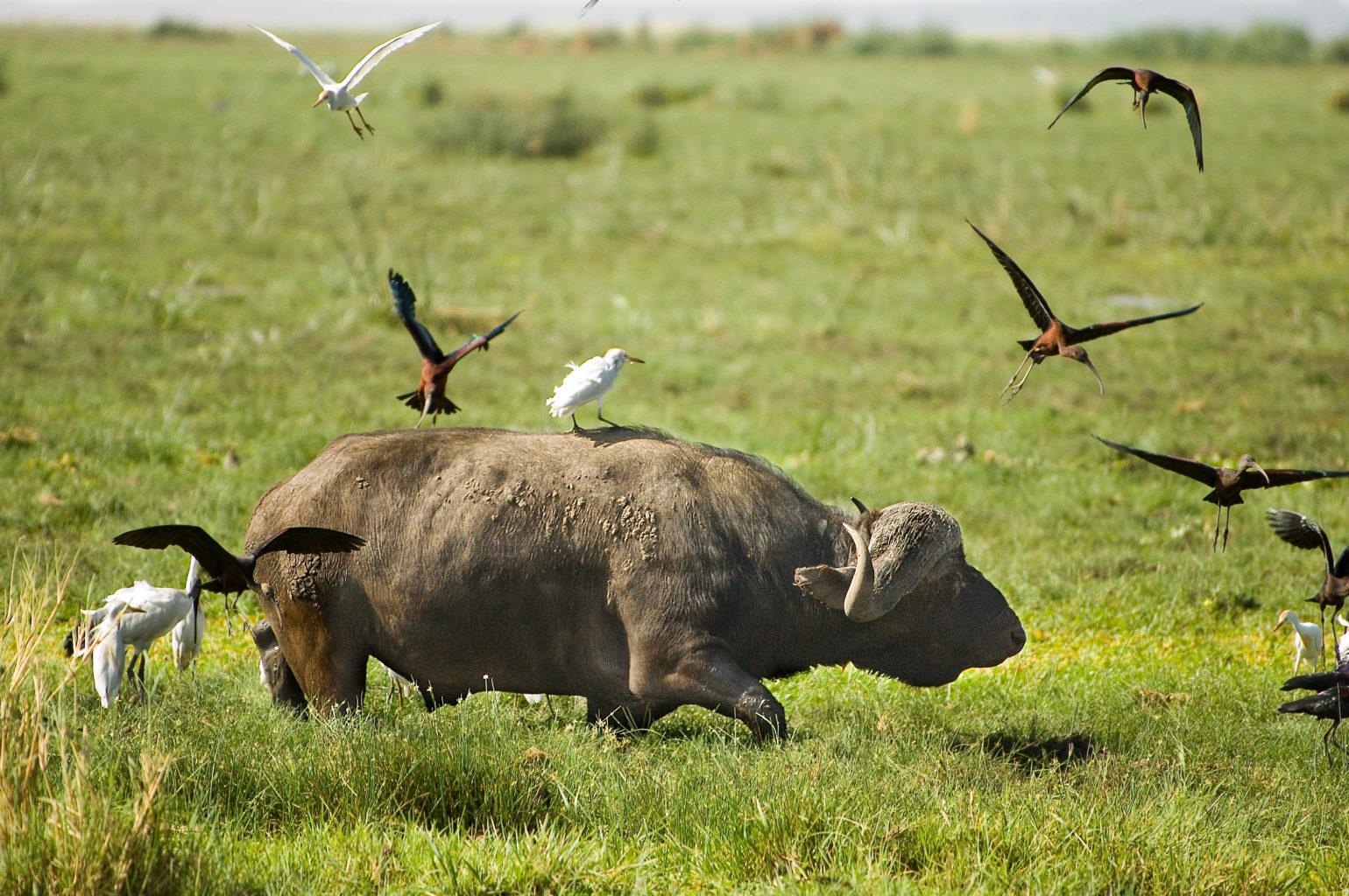 Lake Manyara National Park