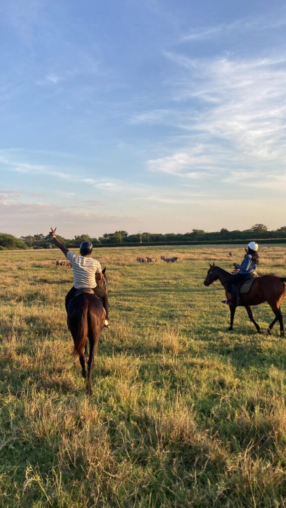 WhatsApp Image 2025-05-19 at 09.04.02_07ed2282