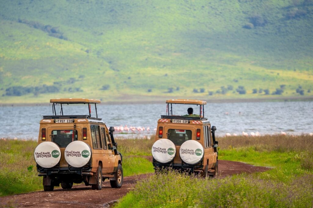 TS jeeps Ngorongoro