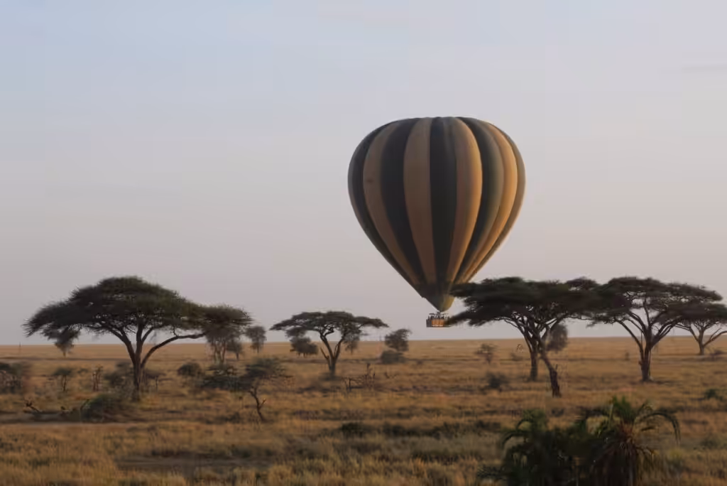 Luchtballonvaart in de Serengeti