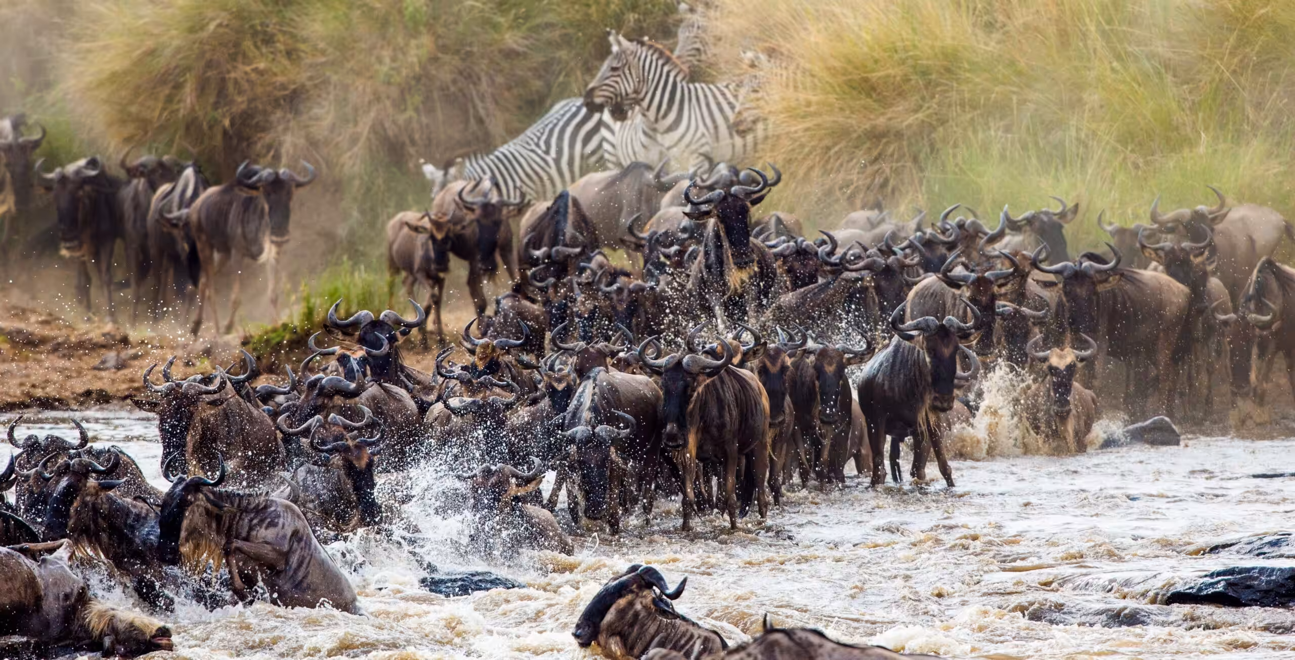 Noord-Serengeti & de Grote Trek (met kans om de beroemde oversteek van de Mararivier te zien)