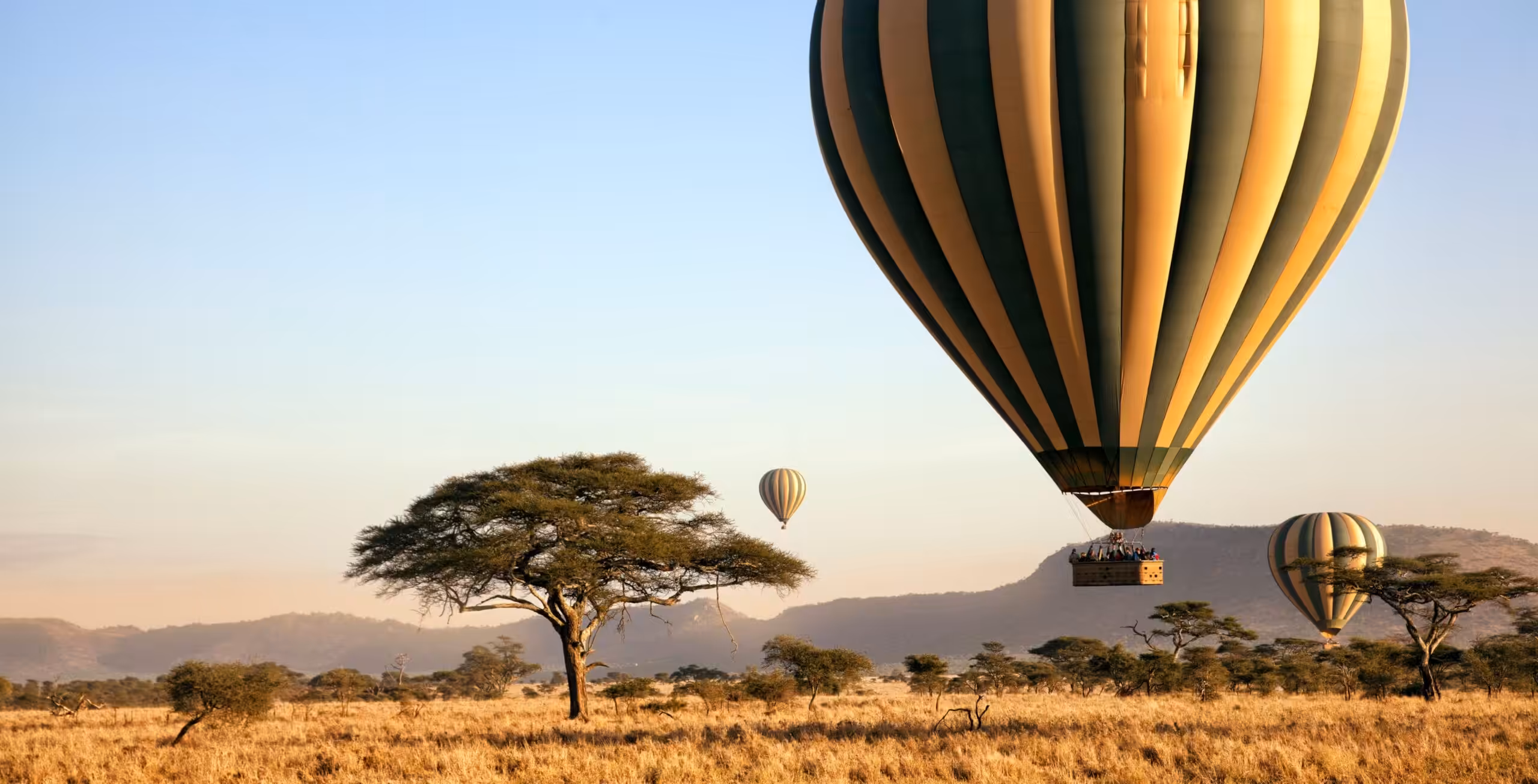Serengeti National Park (centraal west/oost)