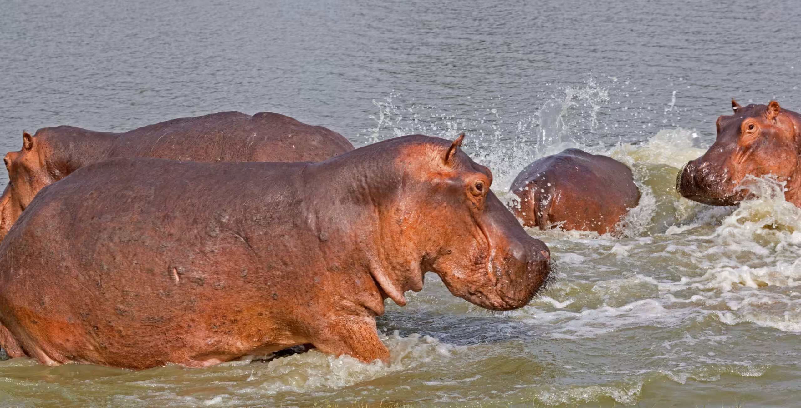 Nyerere National Park