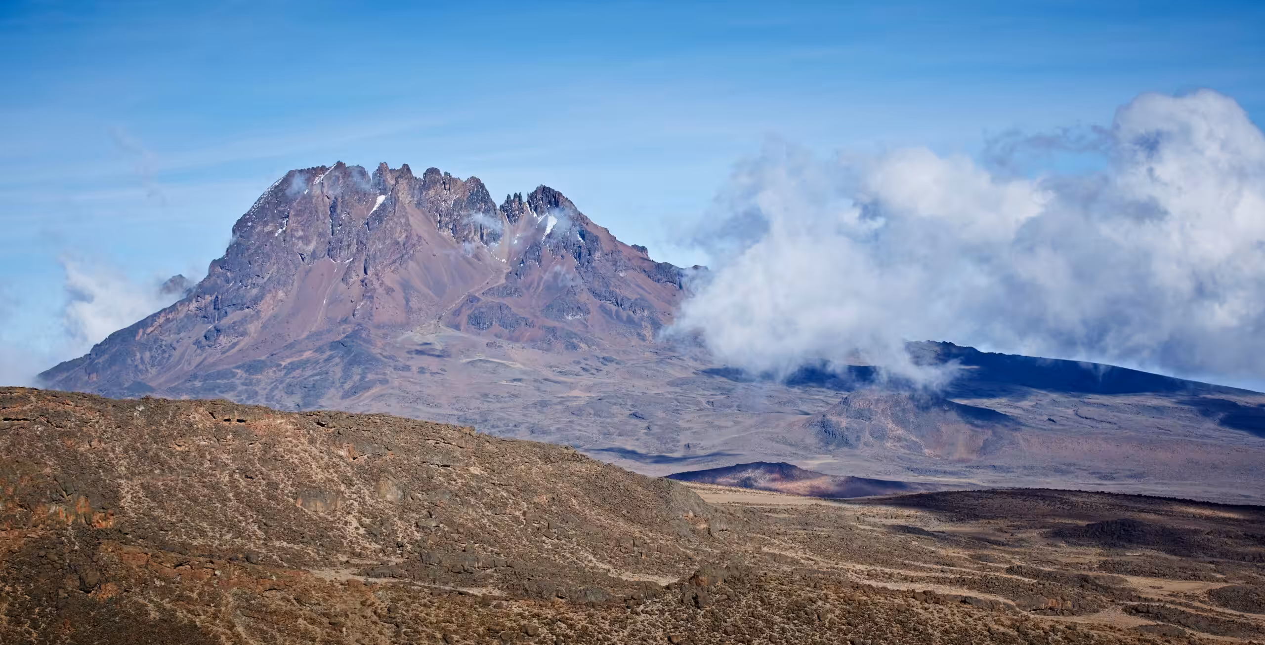 Beklimming Machame Route (4/6) | Barranco Camp (3950 m) - Barafu Camp (4645 m)
