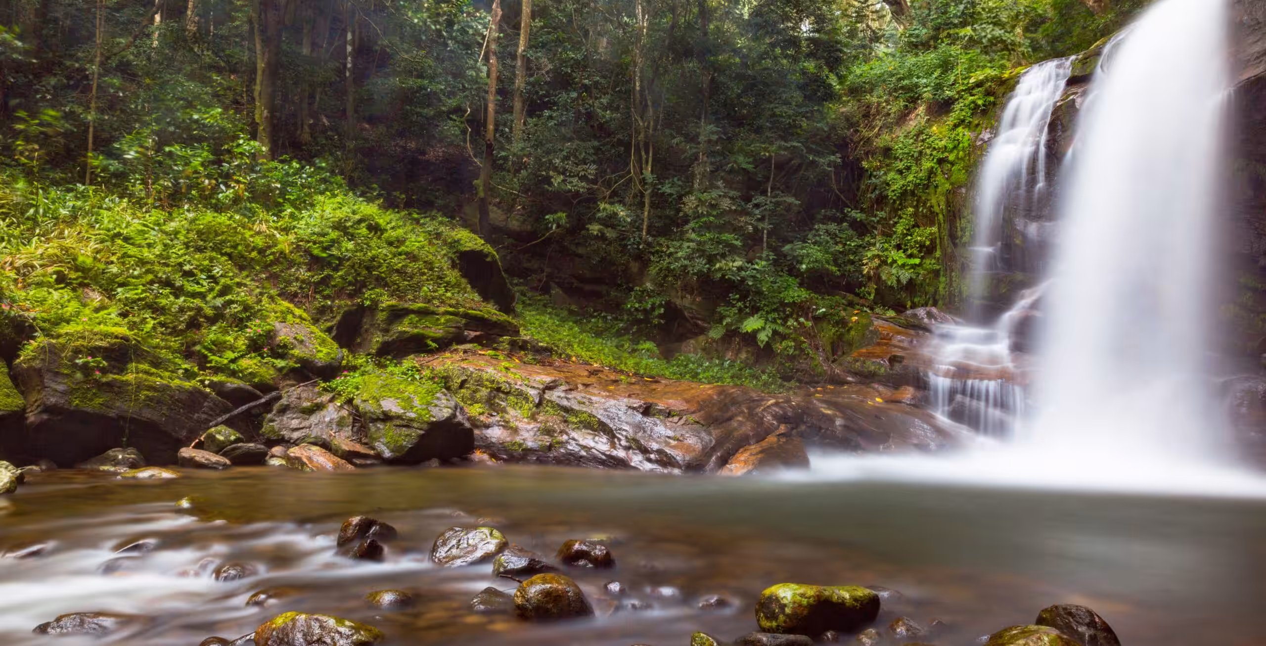 Udzungwa Mountains National Park