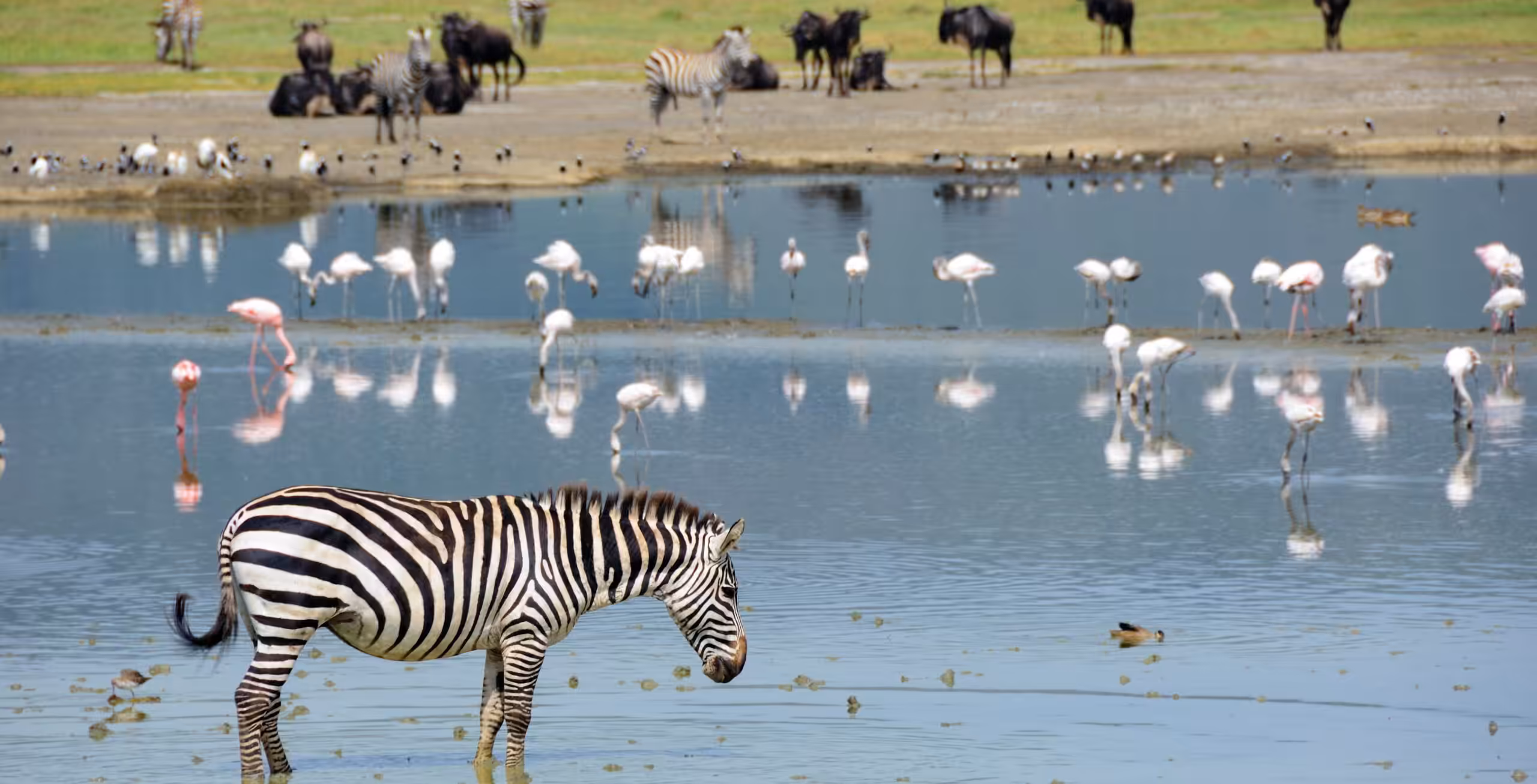 Ngorongoro Krater - in stijl!