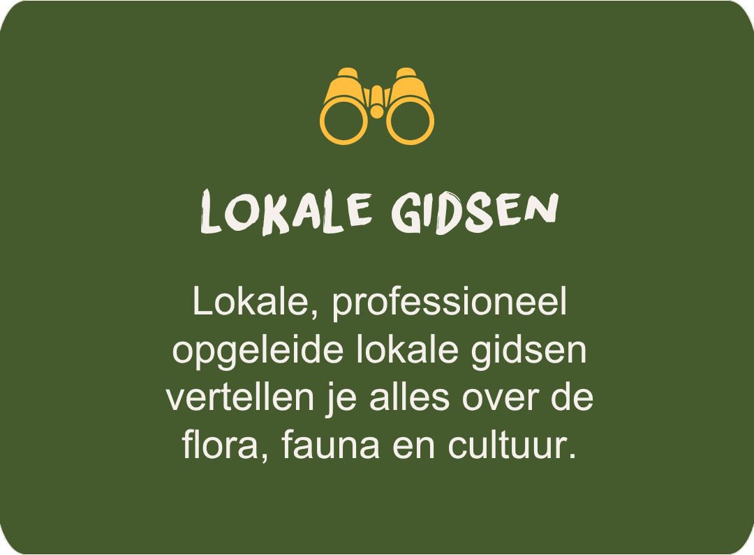 Local guides