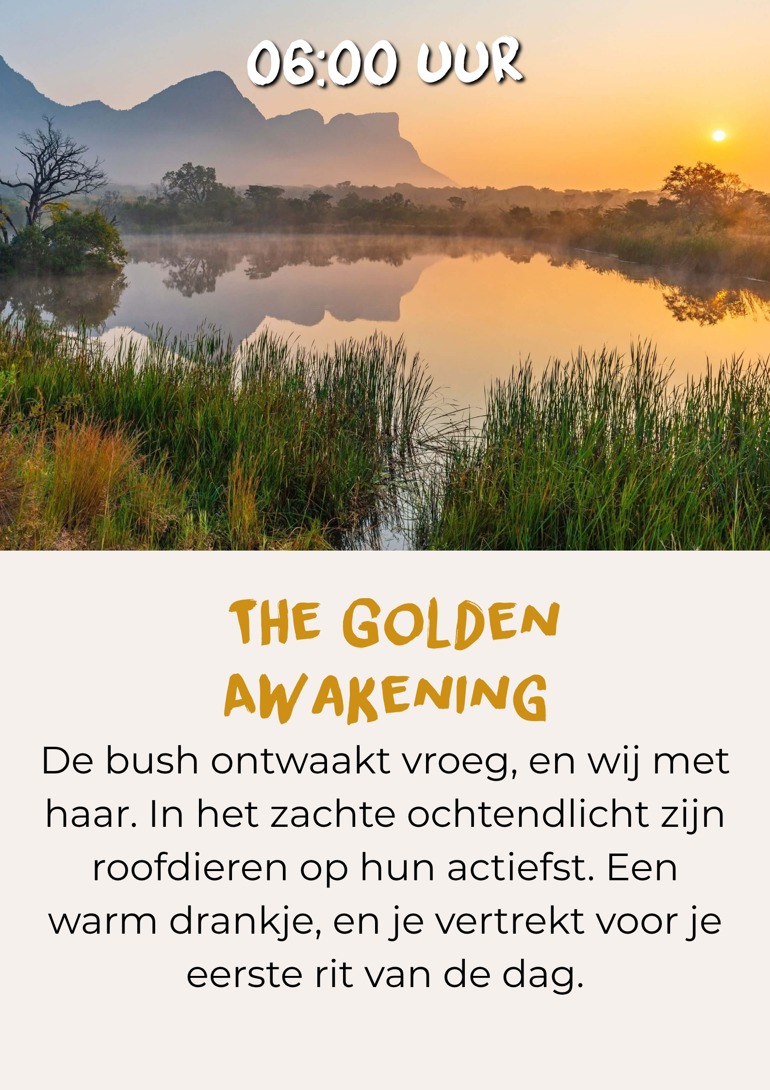Early morning safari game drive during the golden awakening Vroege ochtend safari game drive tijdens het gouden ontwaken
