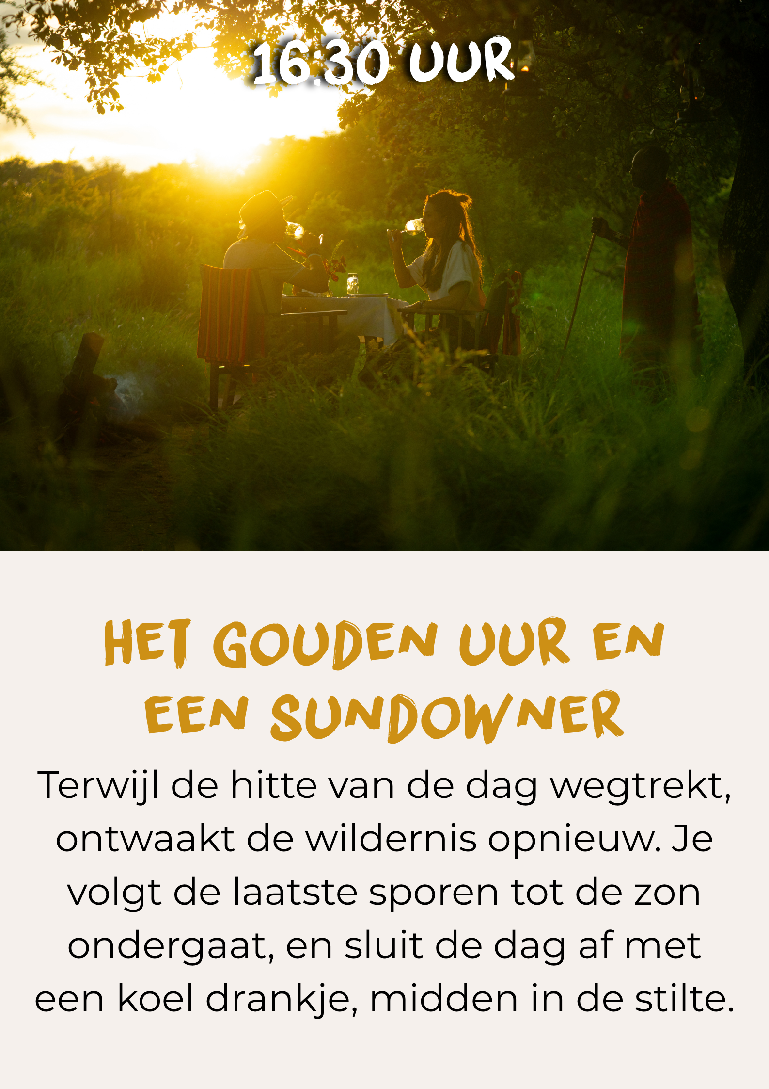 Golden-hour safari game drive followed by a sundowner Safari game drive tijdens het gouden uur, gevolgd door een sundowner